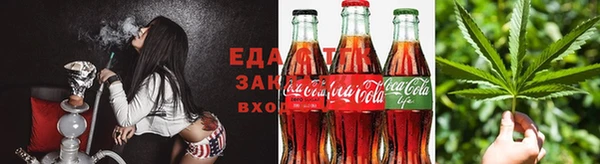 шишки Покачи