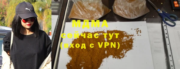 шишки Покачи