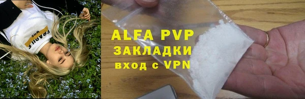 шишки Покачи