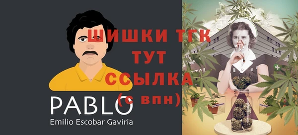 МДПВ Покровск