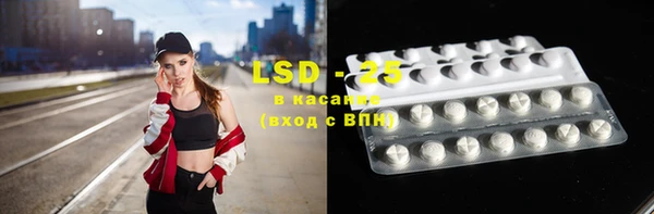 шишки Покачи