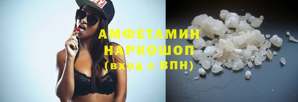индика Ельня