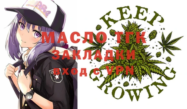 шишки Покачи