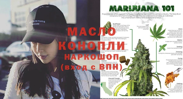 шишки Покачи
