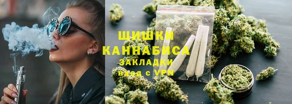 шишки Покачи