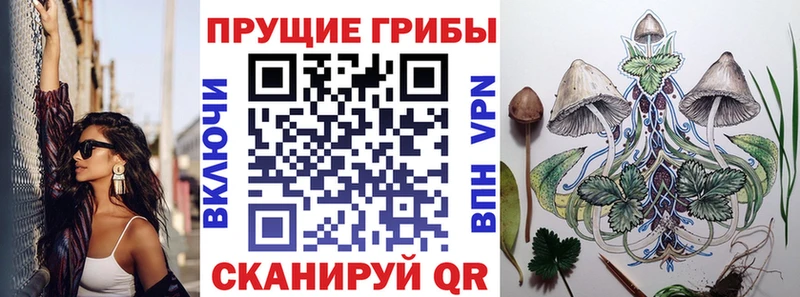 Псилоцибиновые грибы GOLDEN TEACHER  Кяхта 